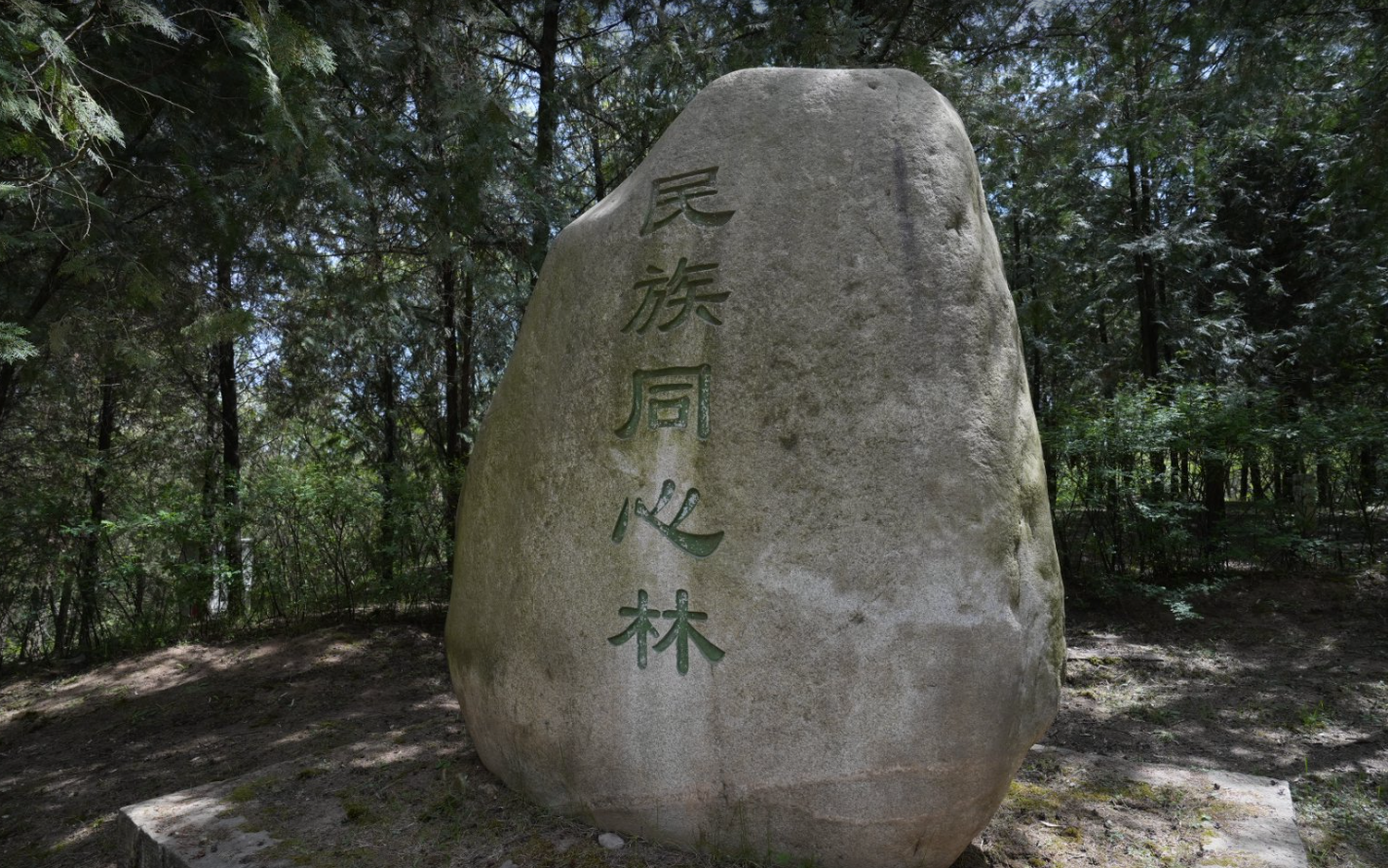 刘先生栽种2展示图片 1