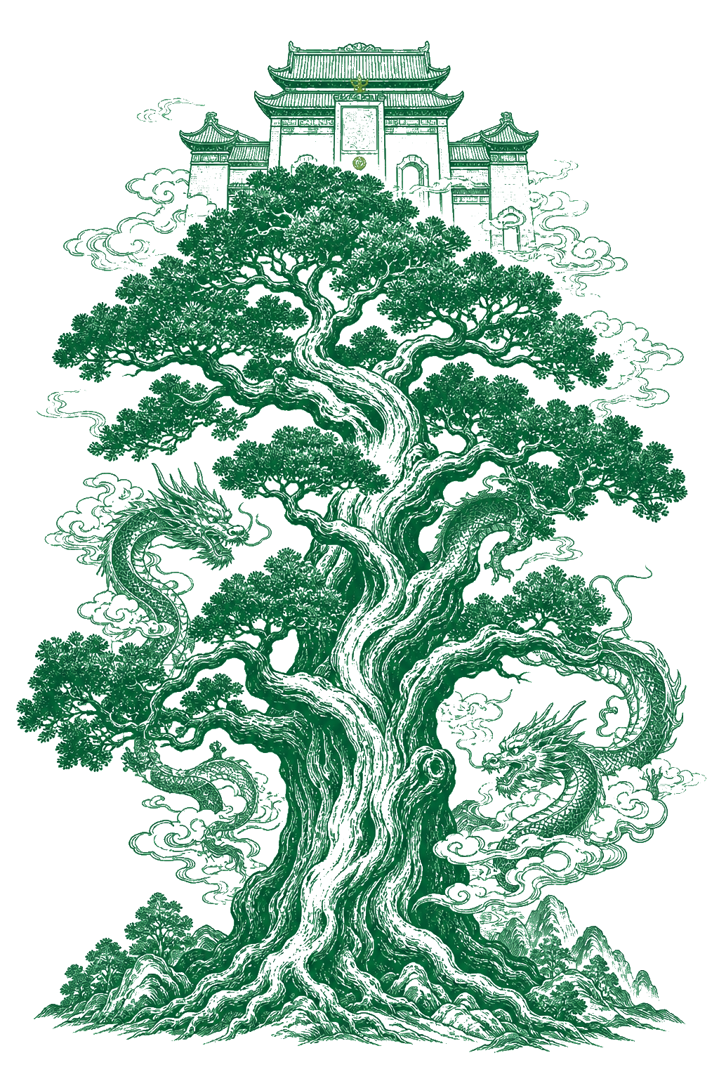 黄帝陵柏树证书插画