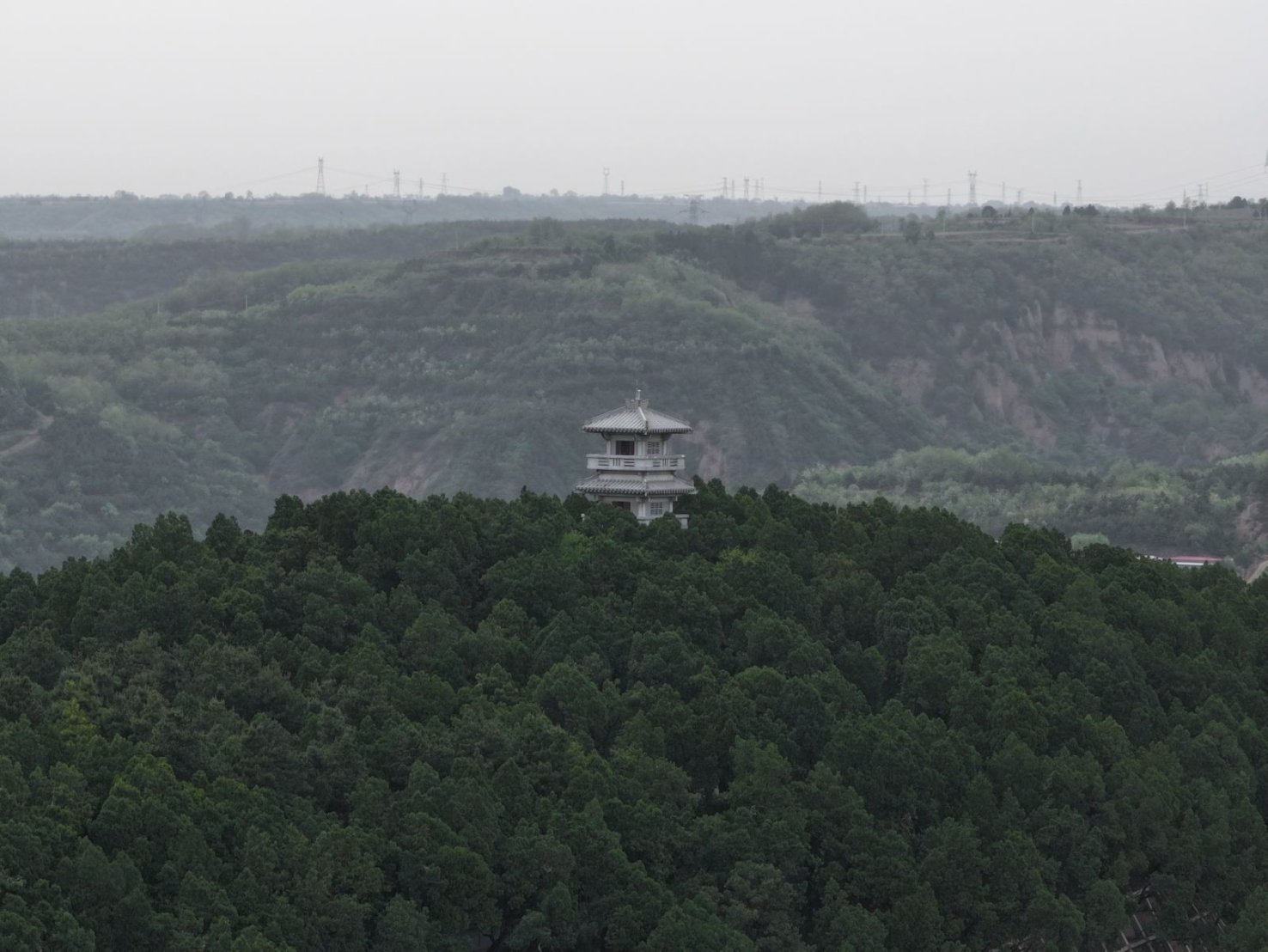 古柏影像