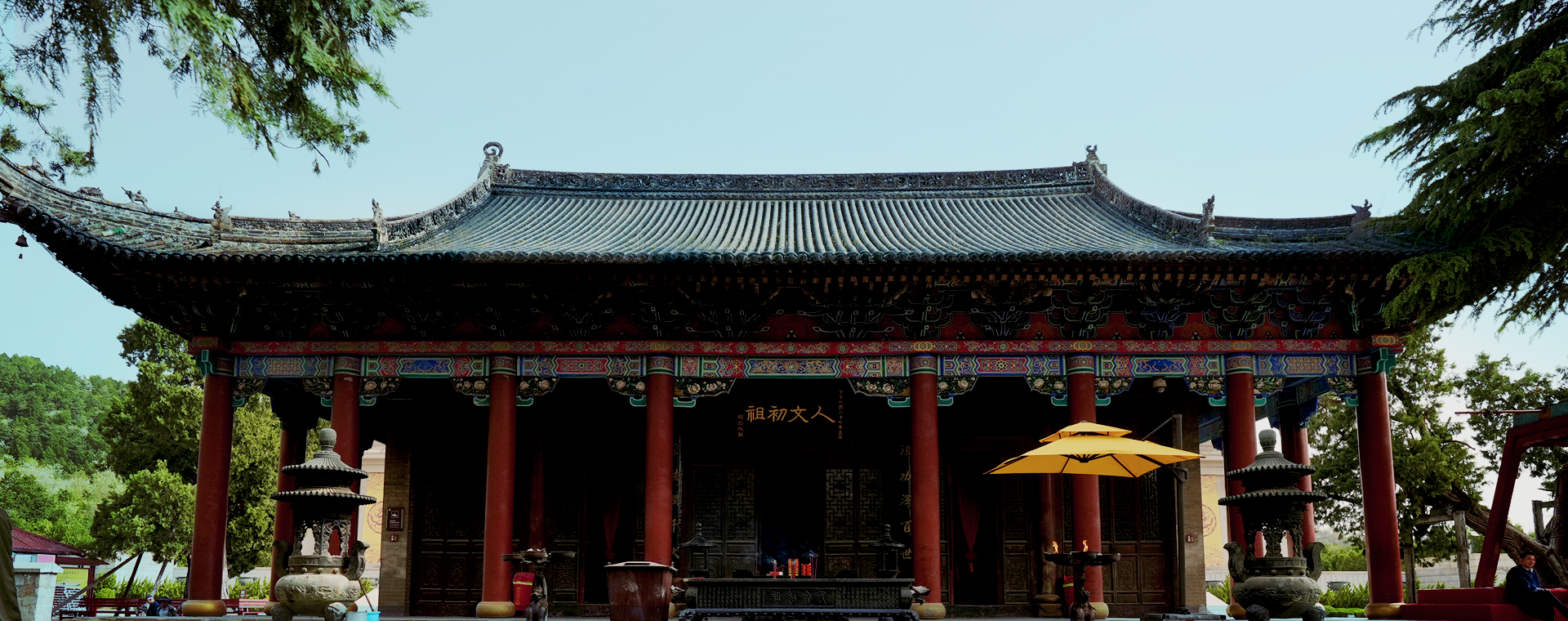 黄陵县桥山柏树林