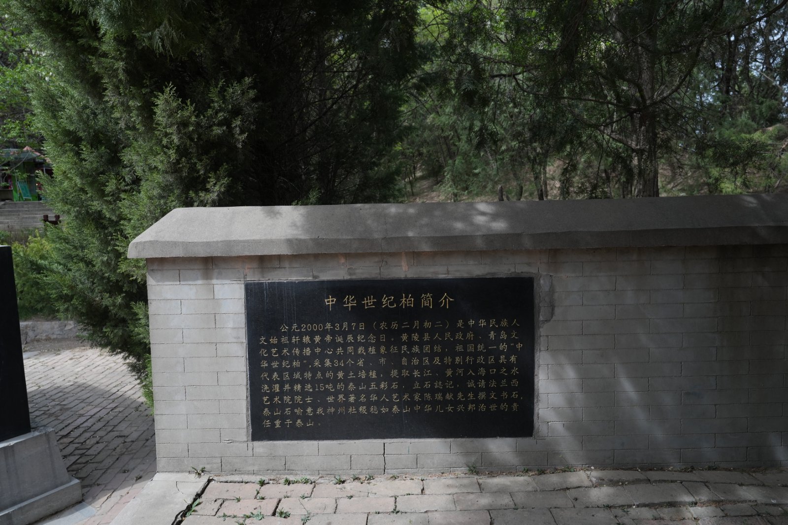 古柏影像