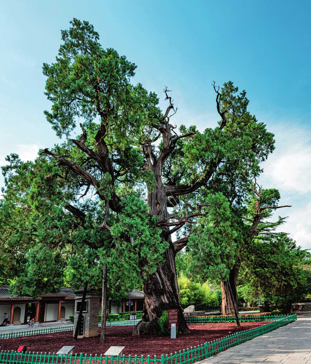 历代整修黄帝陵纪事